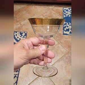 TIFFIN FRANCISCAN Rambler Rose Tall Champagne or Sherbert 24Kt. Glass Set of (6)